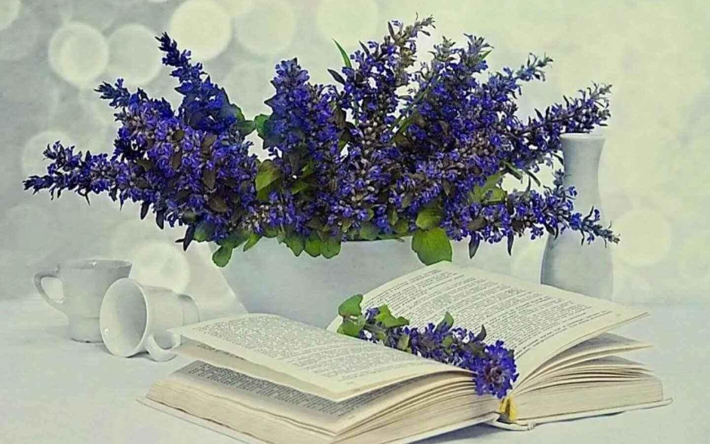 #beautifulnature #beautifulbooks Book addict, Books, Spring fairy