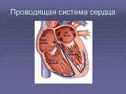 Имеется проводящая система