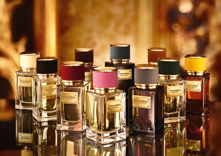 Духи похожие на дольче габбана. Dolce Gabbana Velvet oriental Musk. Dolce&Gabbana Velvet collection Amber Skin. Dolce Gabbana Velvet incenso 50. Dolce Gabbana Velvet incenso.