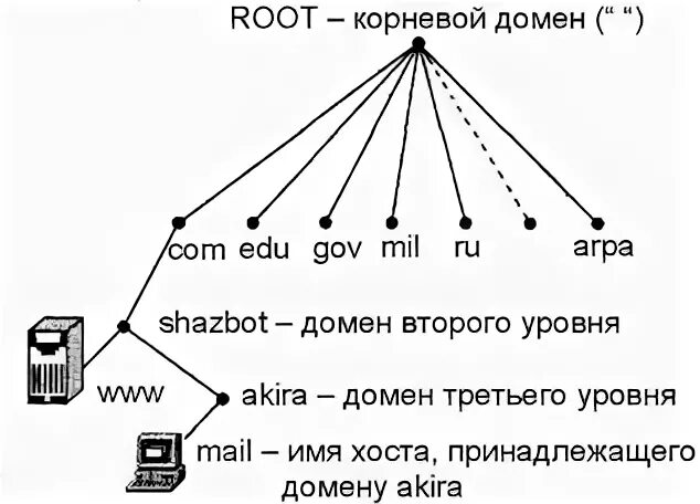 Система доменных имен 11 класс