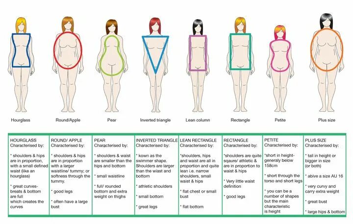 Large proportion. Large proportion. Ideal proportion female. Размеры человека. Анатомия человека на примере геометрии.