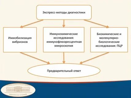 Подготовка к диагностическим процедурам