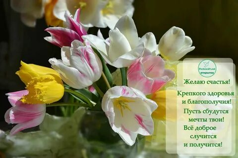 Букеты цветов с пожеланиями