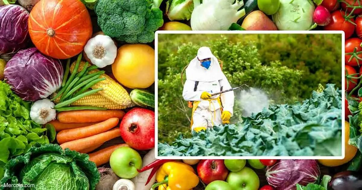 Растительная пища и пестициды. Fresh produce чб. Pesticide Vegetable. Remove Vegetable and Fruit residual pesticide Ozonizer. A lot of vegetables