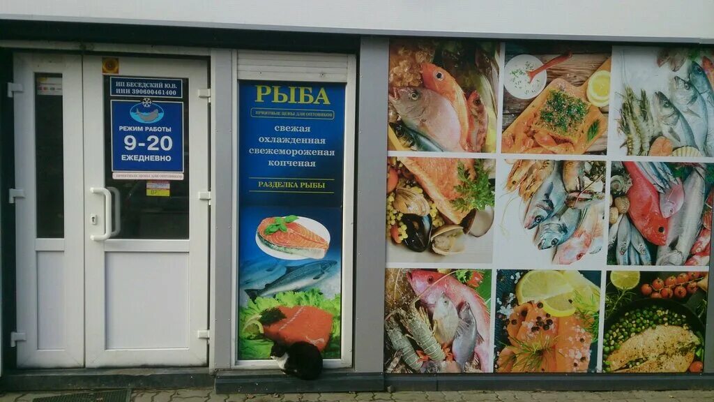 интерьер рыбного магазина. прилавок рыбного магазина. петухова 8 новосибирск маяк магазин. рыбный магазин портовый мурманск. рыба в магазине.