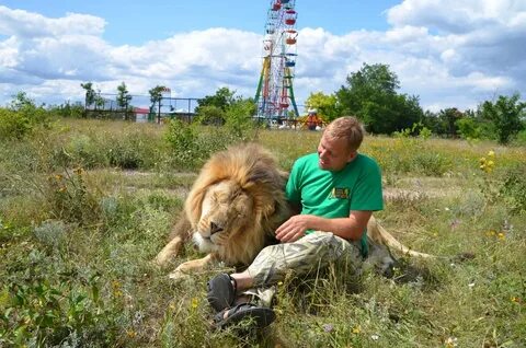 Огромное горе в парке тайган