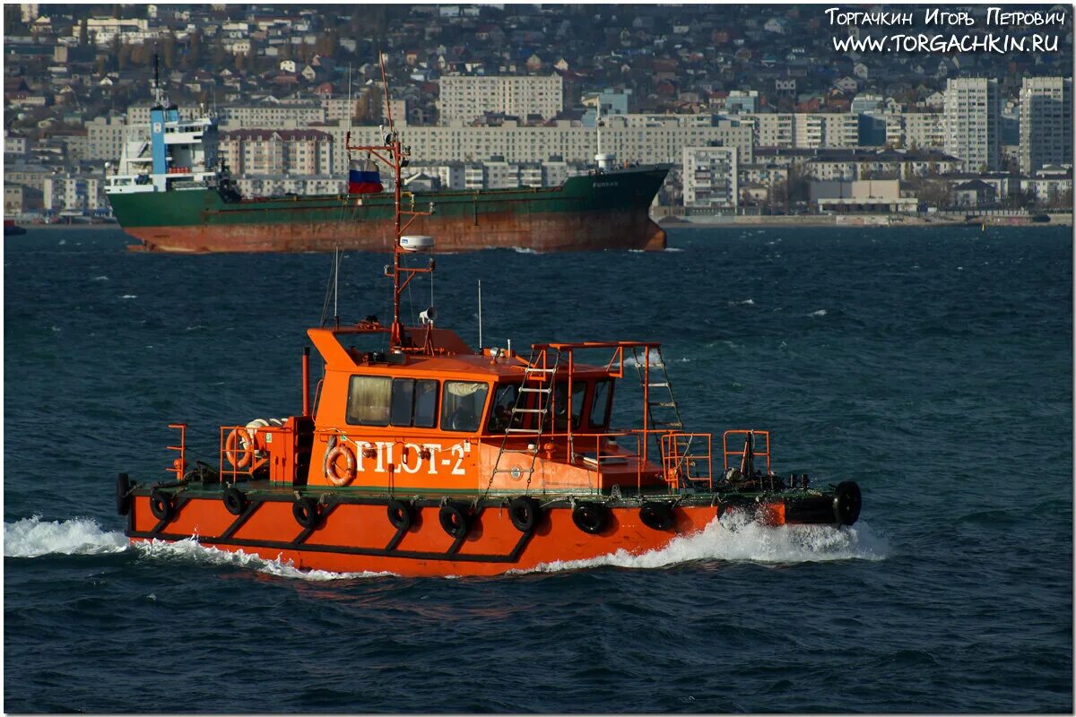 лоцманский катер сириус. бесплатный лоцман. профессии на корабле. вахтенная служба на судах. буксир судно «лоцман».