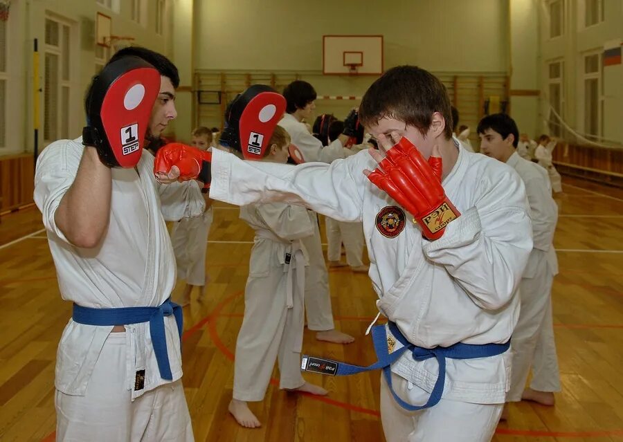Оперативное карате приемы. Aravaze shingalka karate world. Лебедкин сергей викторович каратэ. Рауль рисо каратэ в ссср. Оперативное каратэ.