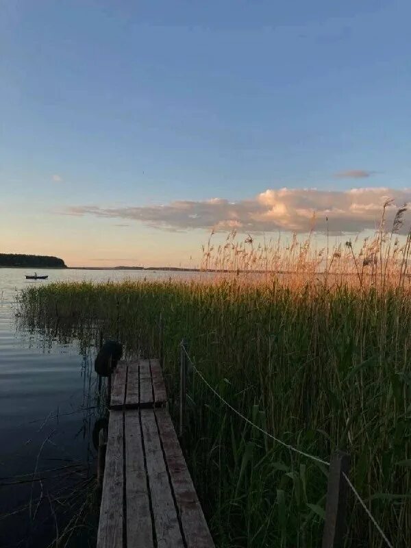 август конец лета. конец августа. конец августа 2022. конец августа. летний день эстетика.