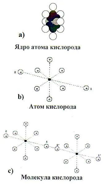 Схема атома кислорода. Строение ядра атома кислорода. Молекулы и атомы схема. Схема ядра кислорода.