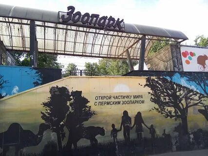 Открытие зоопарка в перми