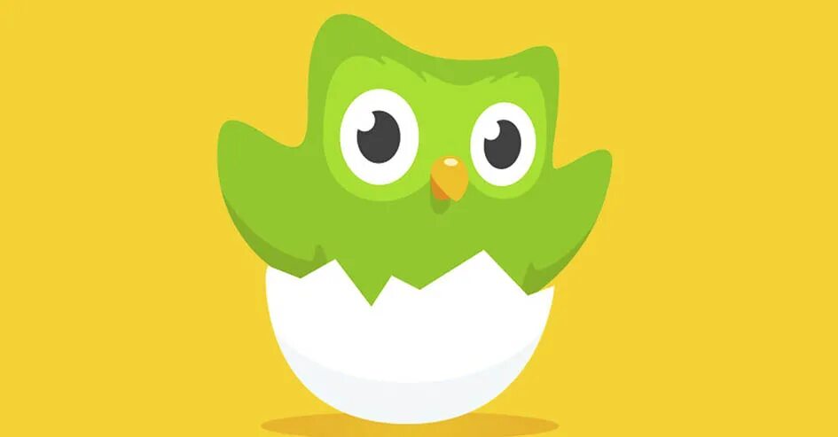 Дуолинго злой. Duolingo Сова. Авы для Дуолинго. Птица Дуолинго. 18 duolingo