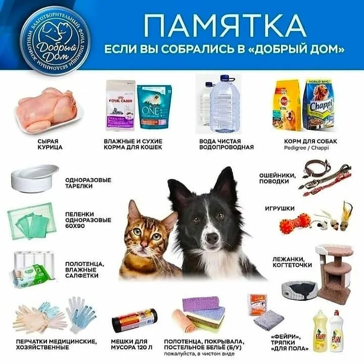 Приют добрый дом тольятти. Приют бездомных животных в тольятти. Приют бездомных животных в тольятти. Добрый дом приют для животных тольятти. Приют, тольятти.