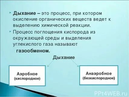 Какой процесс называют дыханием 6 класс