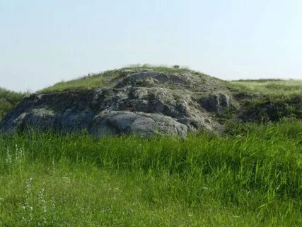 Село варна тополек