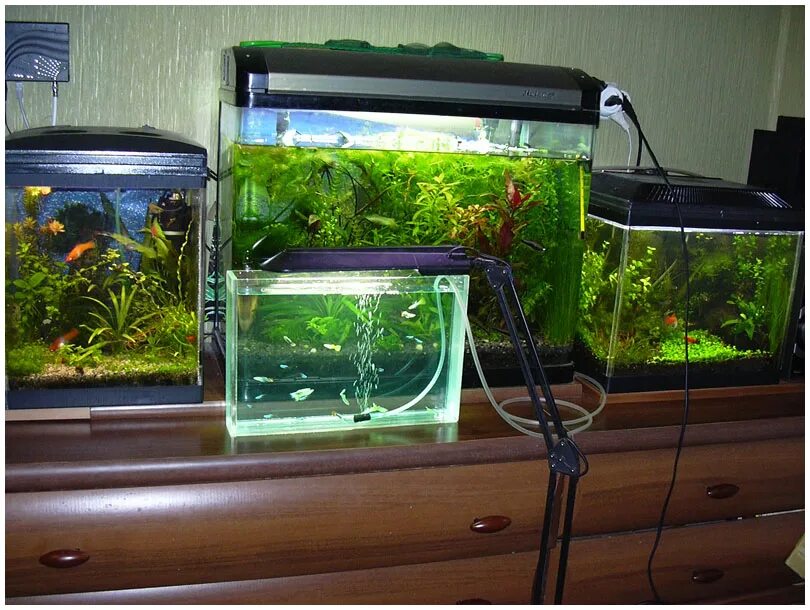 домик для аквариума. самодельный биофильтр для аквариума. акывпиум своими руками. окантовка аквариума. самодельный аквариум.