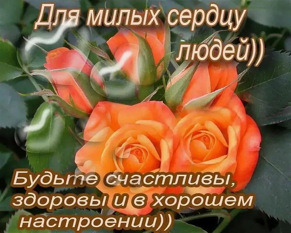 Друзья будьте здоровы и счастливы. Пожелания любви и счастья. Пусть дети будут здоровы и счастливы. Пожелания крепкого здоровья. Счастья вашему дому.