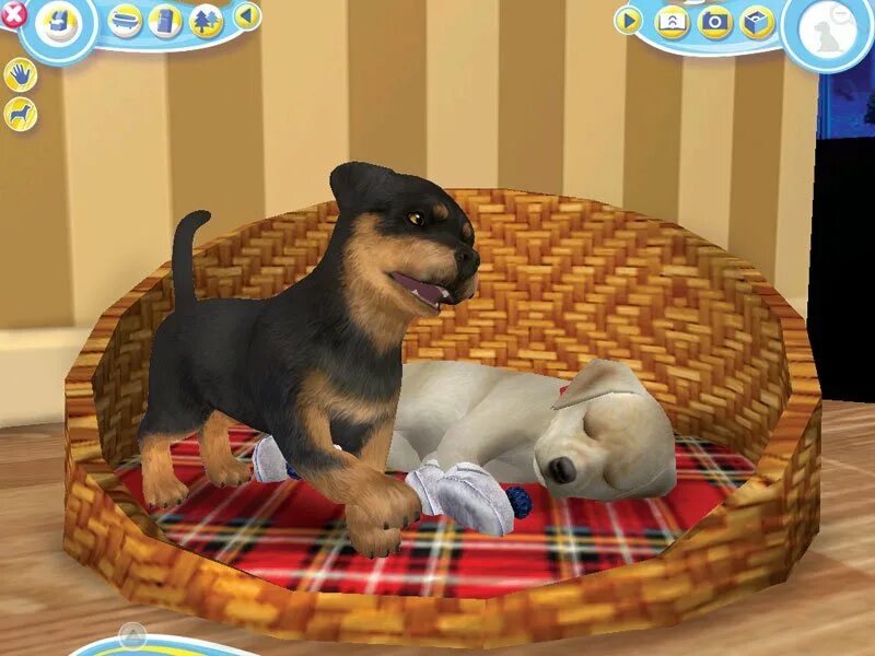 Включи игру про животных