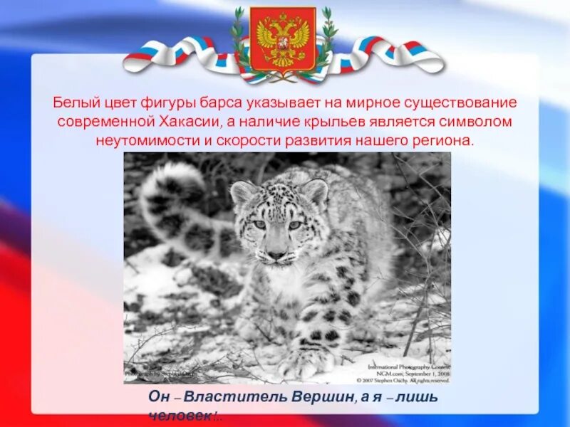Что символизирует барс. Снежный барс символ. снежный барс символ татарстана. белый барс символ татарстана. символ хакасии снежный барс.