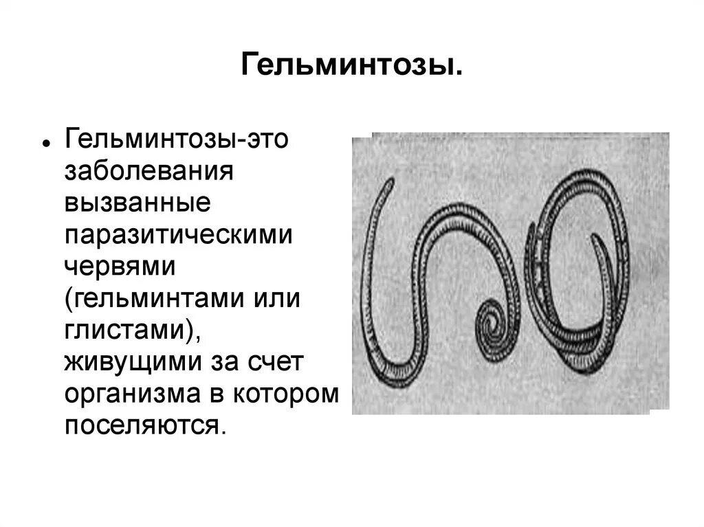 Болезни гельминтозы. Гельминтозы заболевания. Заболевания вызванные паразитическими червями. Гельминтозы заболевания вызываемые. Контактные гельминтозы.