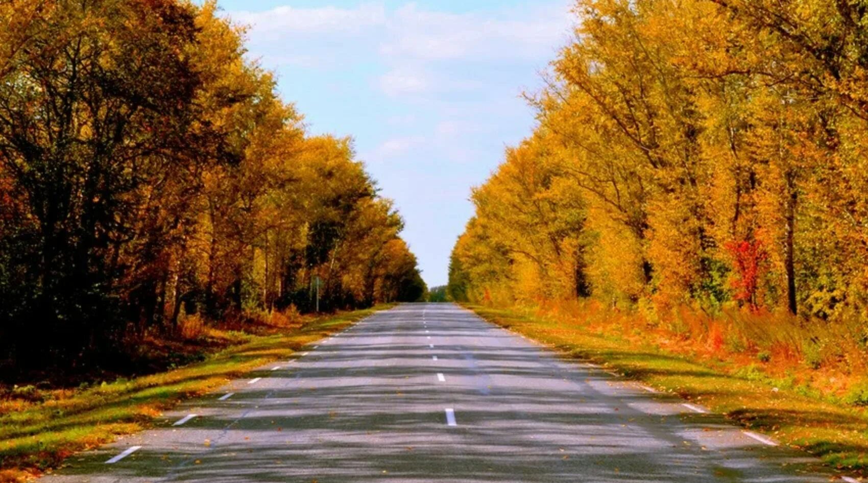 Осенняя дорога. Дорога в осень. Осень вдоль дороги. Дорога уходящая вдаль.