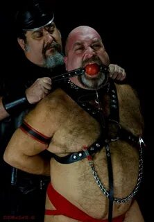 Fat hairy guys bound and gagged, grrr.