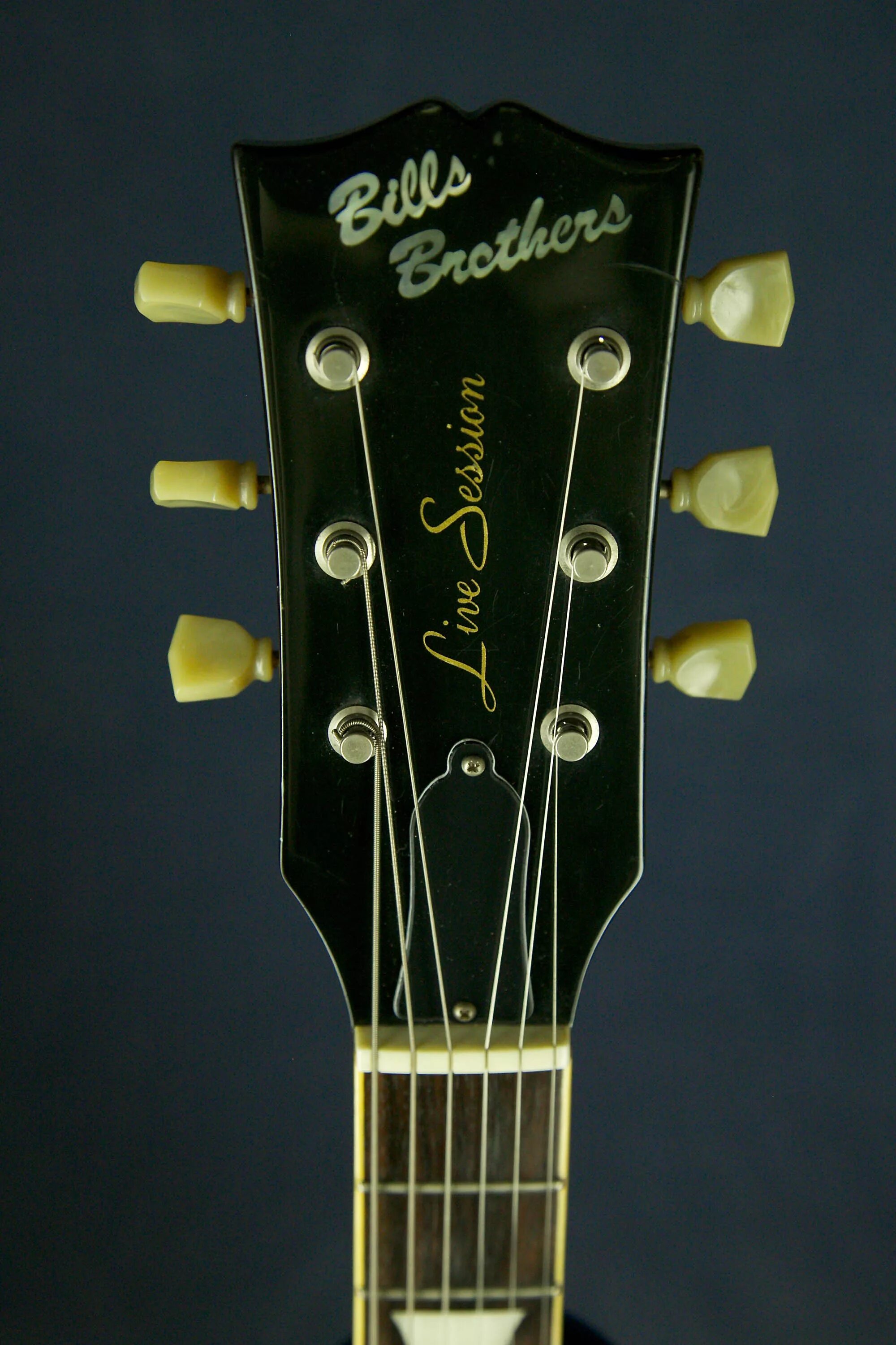 Гитары Bill brothers. Bill brothers les Paul. Электрогитара j d brothers les Paul. Bills brothers les Paul Custom. Guitar brothers