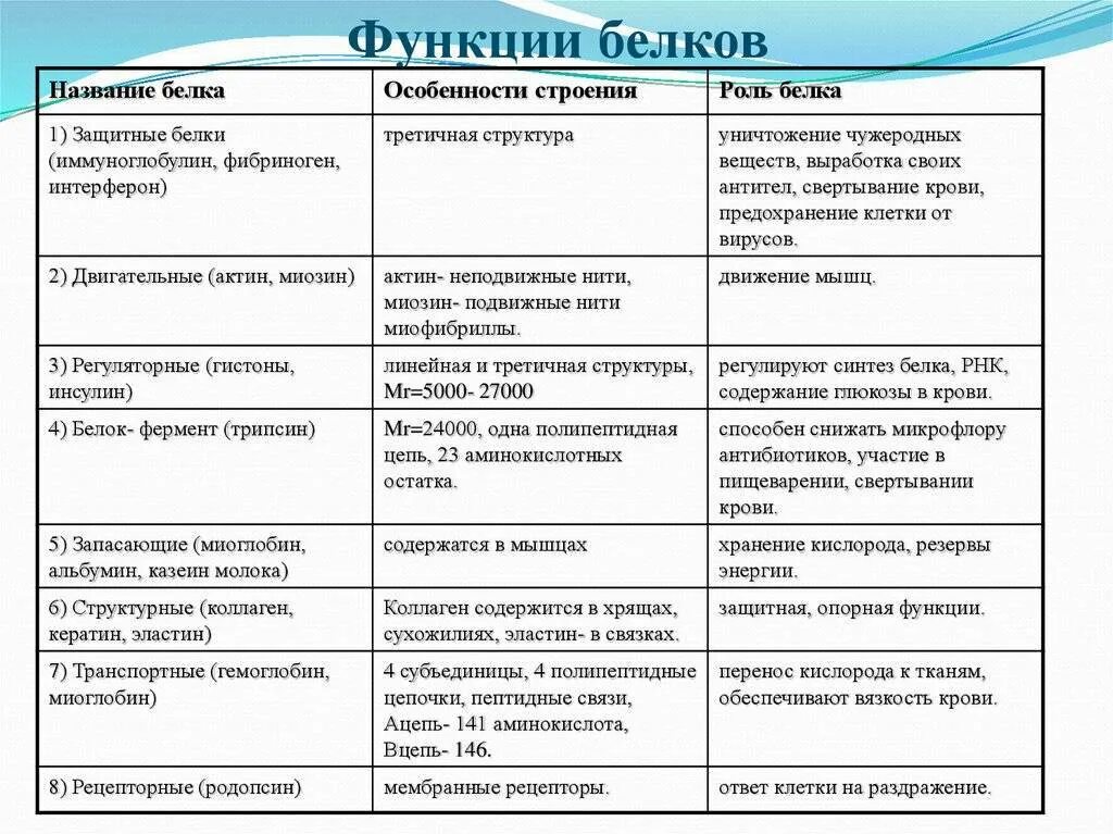 Таблица строение и функции веществ клетки. Функции белков особенности. строение структура свойства и функции белков. органические вещества клетки: белки. их строение, свойства, функции.. таблица функции белков 9 класс.
