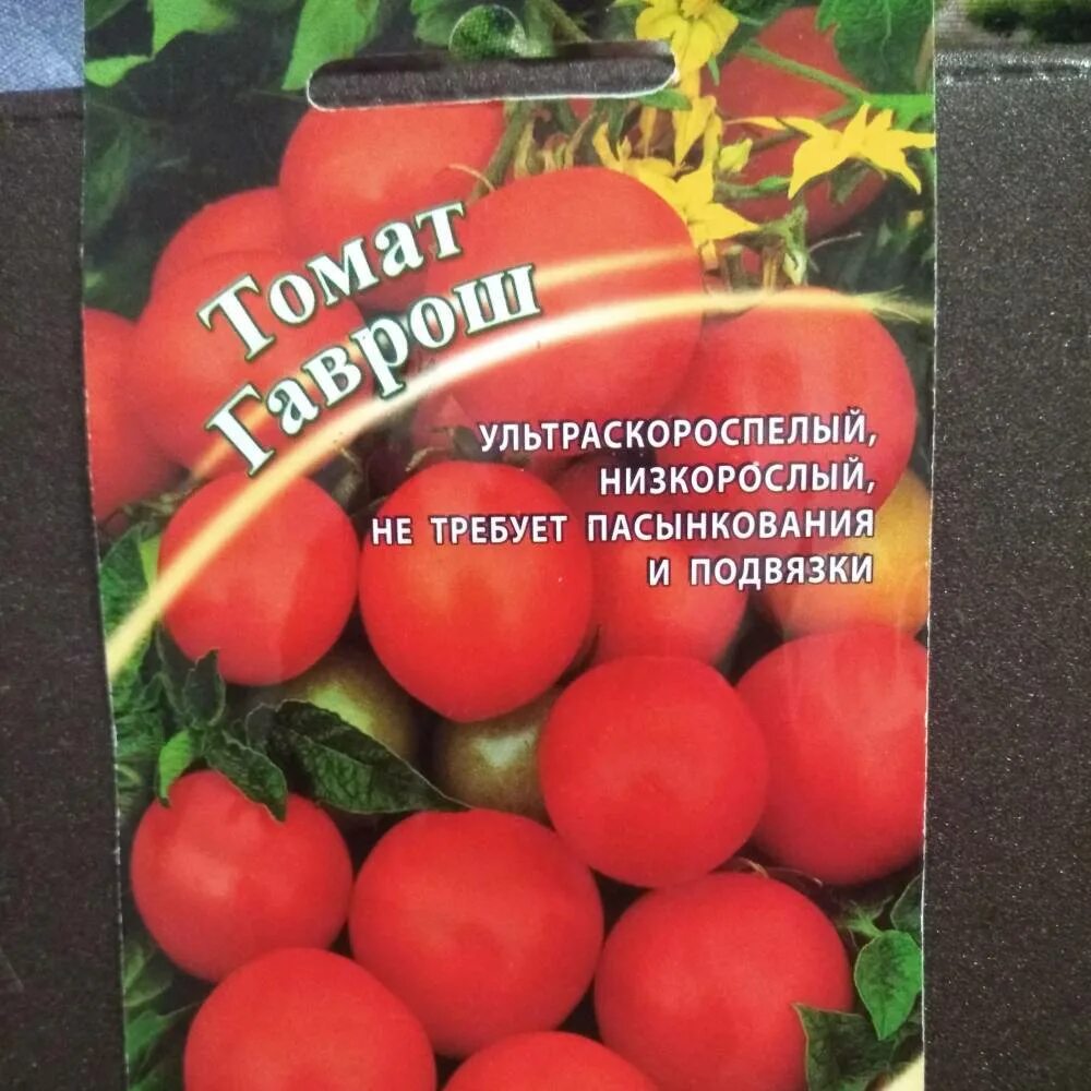 Ультраскороспелые томаты фото. Помидоры сорт гаврош. помидоры гаврош описание сорта. томаты низкорослые ультраскороспелые для открытого грунта. томат ультраскороспелый.