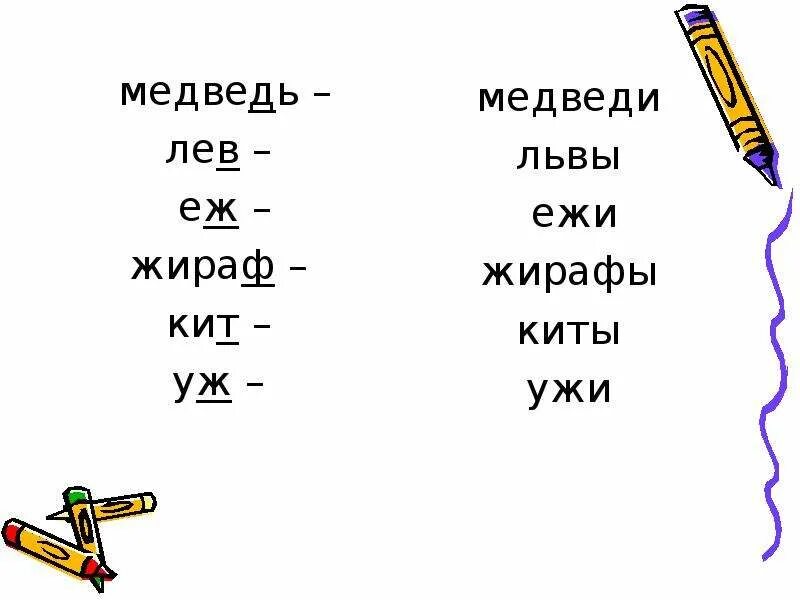 Жираф проверочное слово. Проверочное слово к слову Ежи. Проверочное слово к слову Жираф. Проверочное слово еж. Слово ежи какие звуки