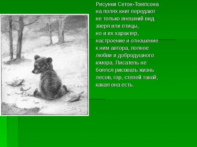 Ошибка томпсона. Иллюстрации к рассказам сетона томпсона. э сетон томпсон произведения. жизнь и творчество э сетон-томпсон. сетон-томпсон э. животные-герои.