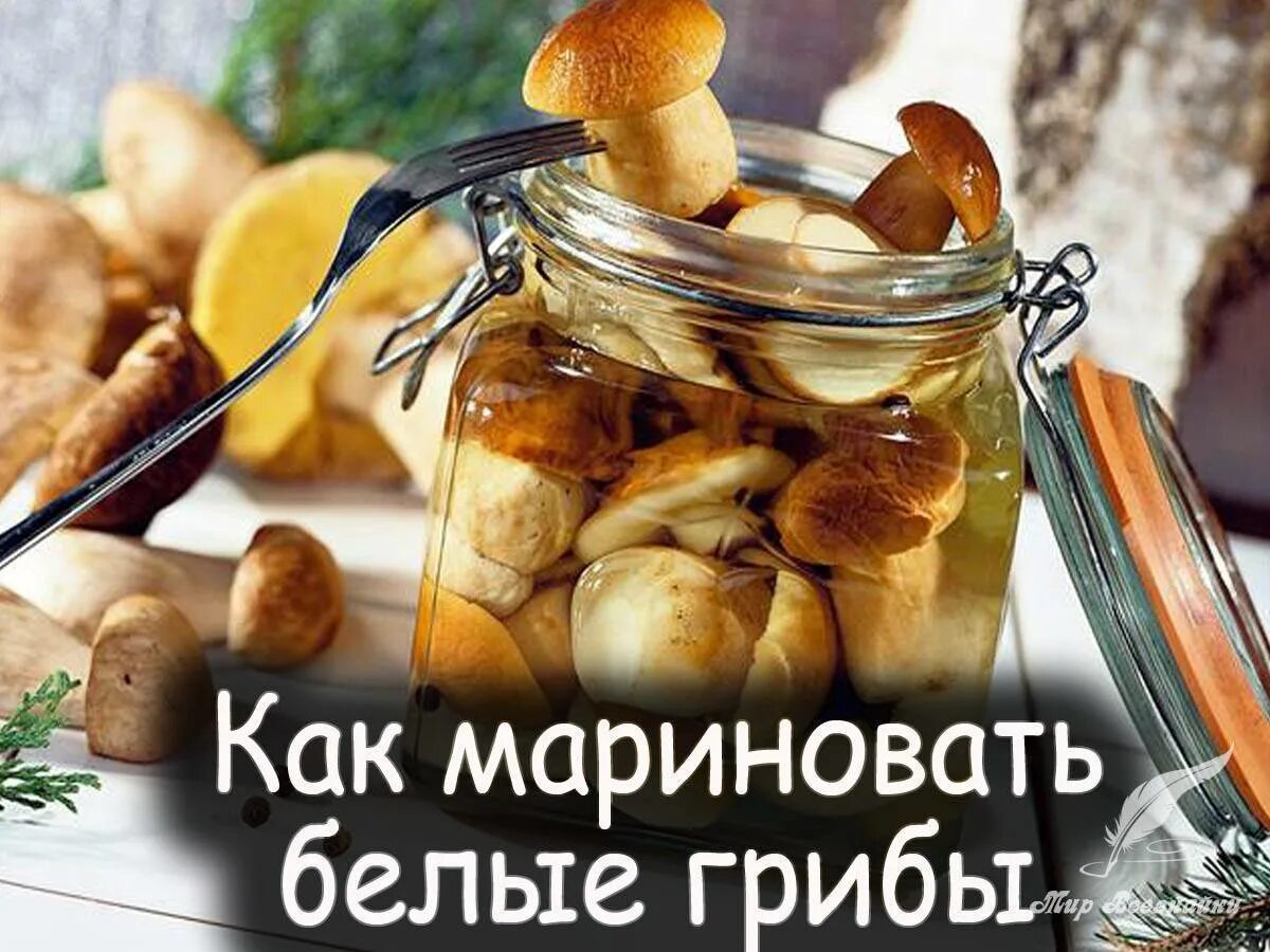 Самые вкусные грибы на зиму. Маринад для белых грибов. Маринованные белые грибы. Вкусный маринад на грибы. Белый гриб в маринаде.