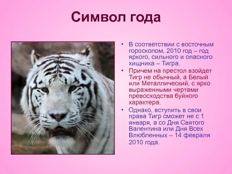 Год тигра описание. 2010 Год год какого тигра. 2010 Год тигра гороскоп. 2010 Ког какого тигра.