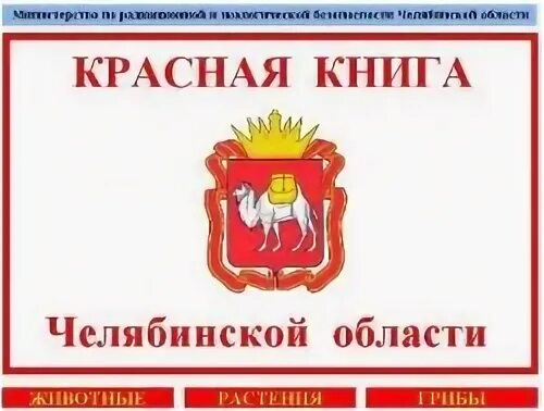 Красная книга Челябинской области: второе издание - презентация онлайн