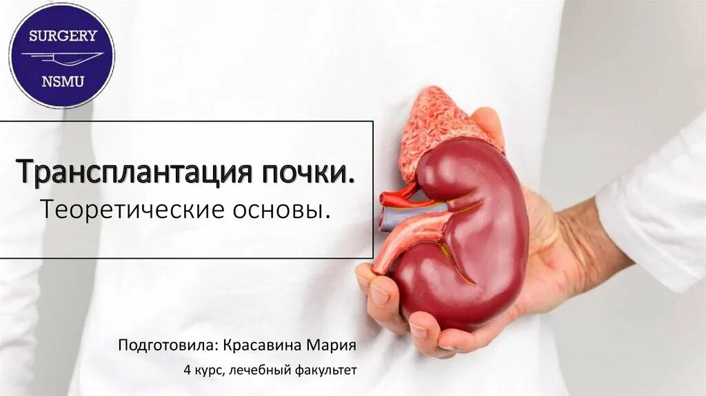 Трансплантация почки показания и противопоказания. Трансплантация почки клинические рекомендации. Показания к трансплантации почки. Показания к трансплантации почки. Противопоказания к трансплантации.