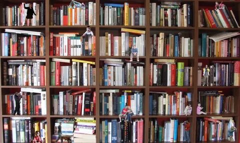 Книжный шкаф читать