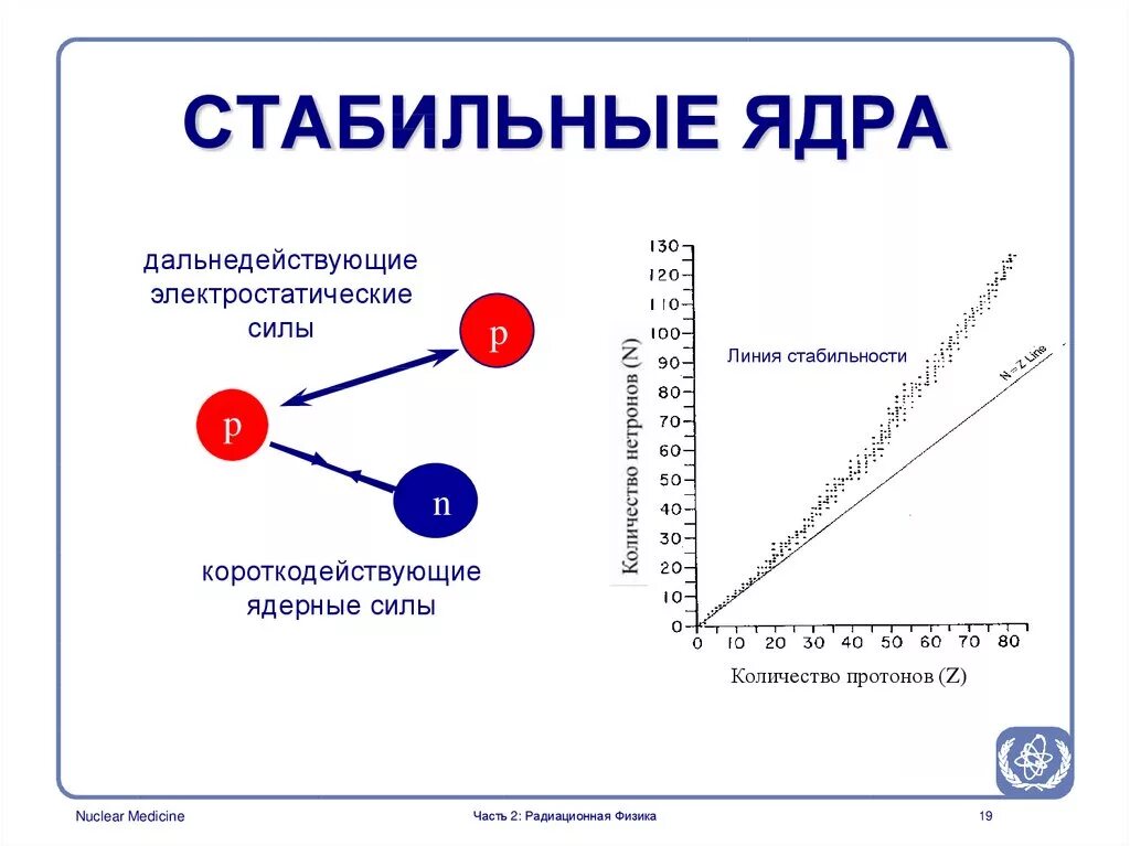 Самое стабильное ядро