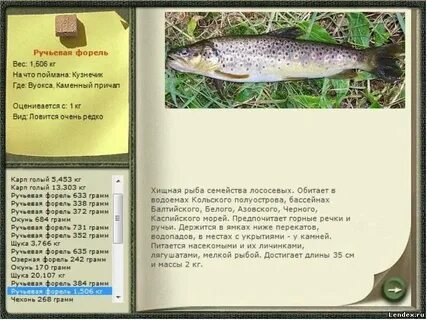 Сколько грамм в форели