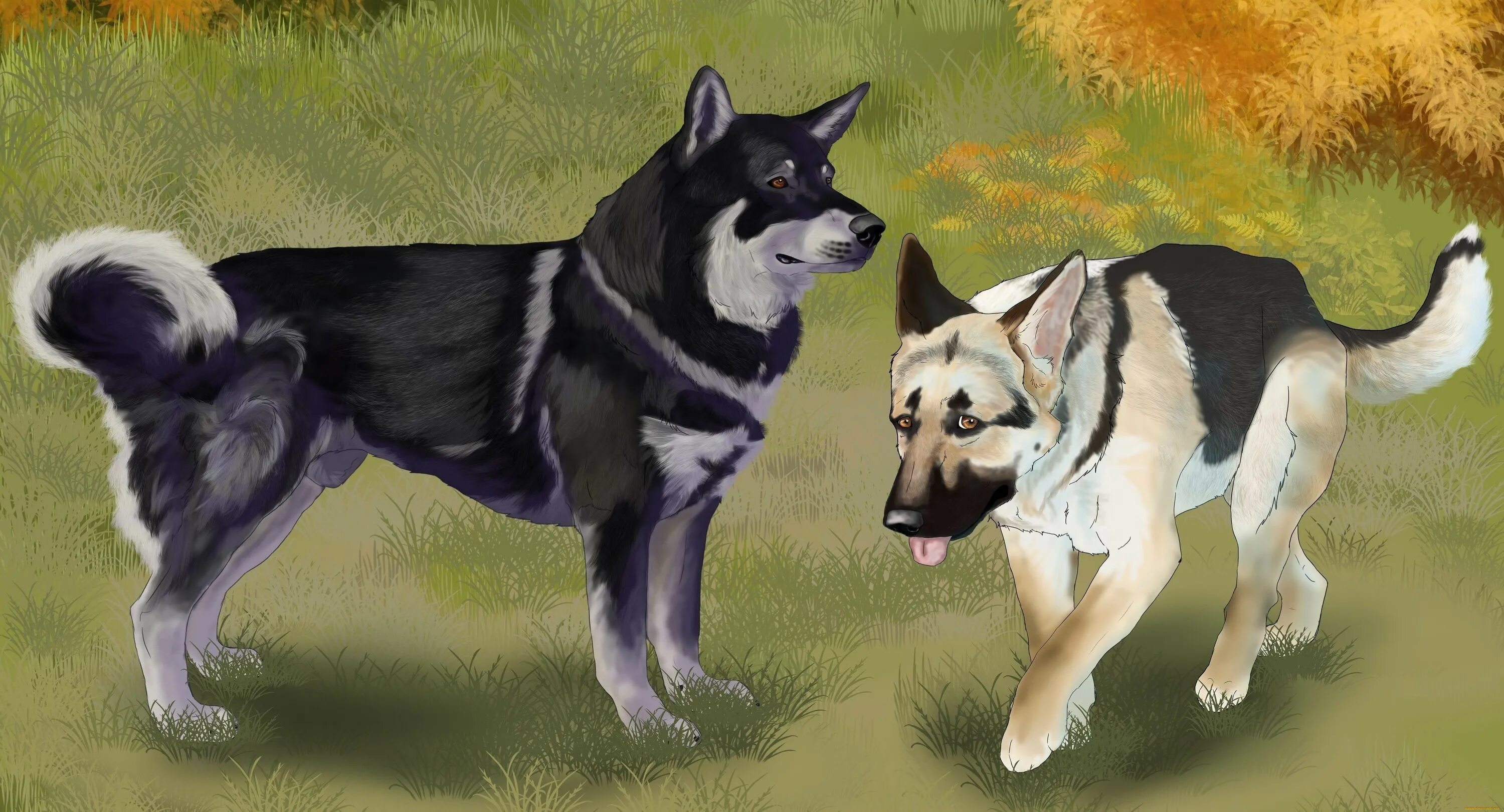 Овчарки выскочив. Рисунок собаки овчарки. Собака рисунок реалистичный. Картинки с животными нарисованные.