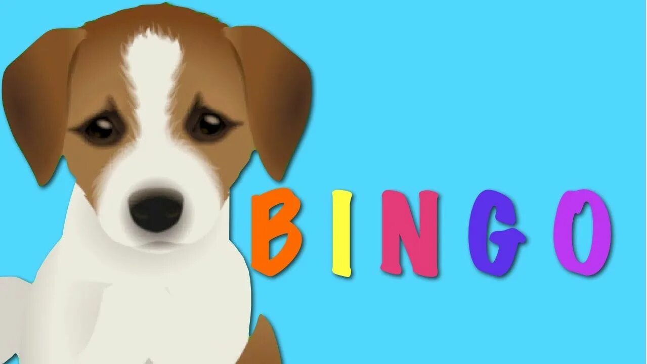 Видео собачка песня. Bingo Dog. A Dog Бинго. Bingo Dog Song. Dog Song Kids TV.