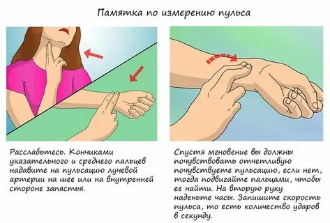 Как проверить пульс на руке самостоятельно