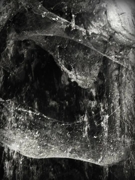 Qui sunt. Lost hallucination обложка. Qui sunt. ария новый крестовый поход. Qui sunt.