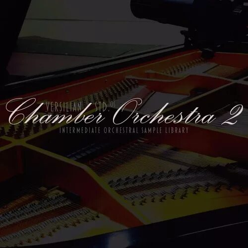 Orchestra sample. Dahua chamber orchestra.