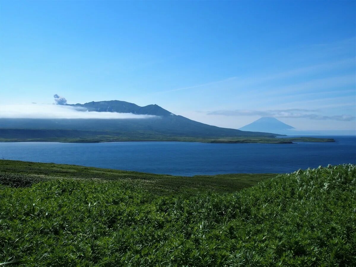 Курильские острова природная зона. Северные Курилы острова. Остров Янкича Курилы. Курильское озеро Камчатка. Остров Янкича Северные Курилы.