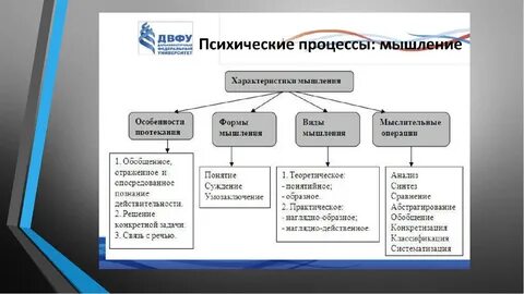 Мыслительные процессы определение
