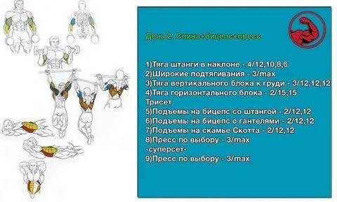 Плечи бицепс в один день