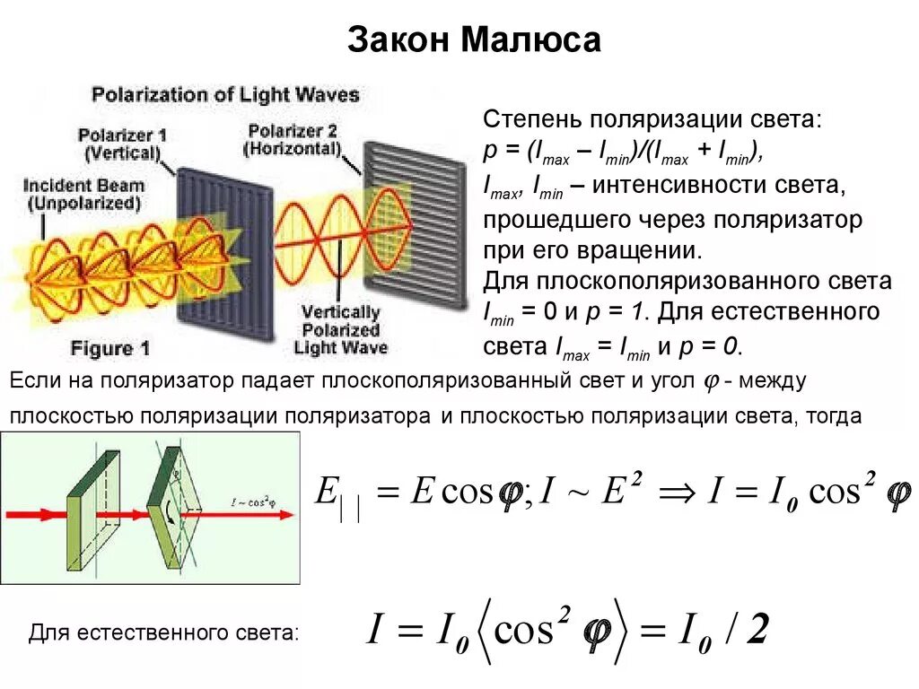 Вывод закона Малюса. Закон Малюса вывод формулы. Закон Малюса для плоско поляризованного света. Поляризация формула Малюса. Поляризация законы