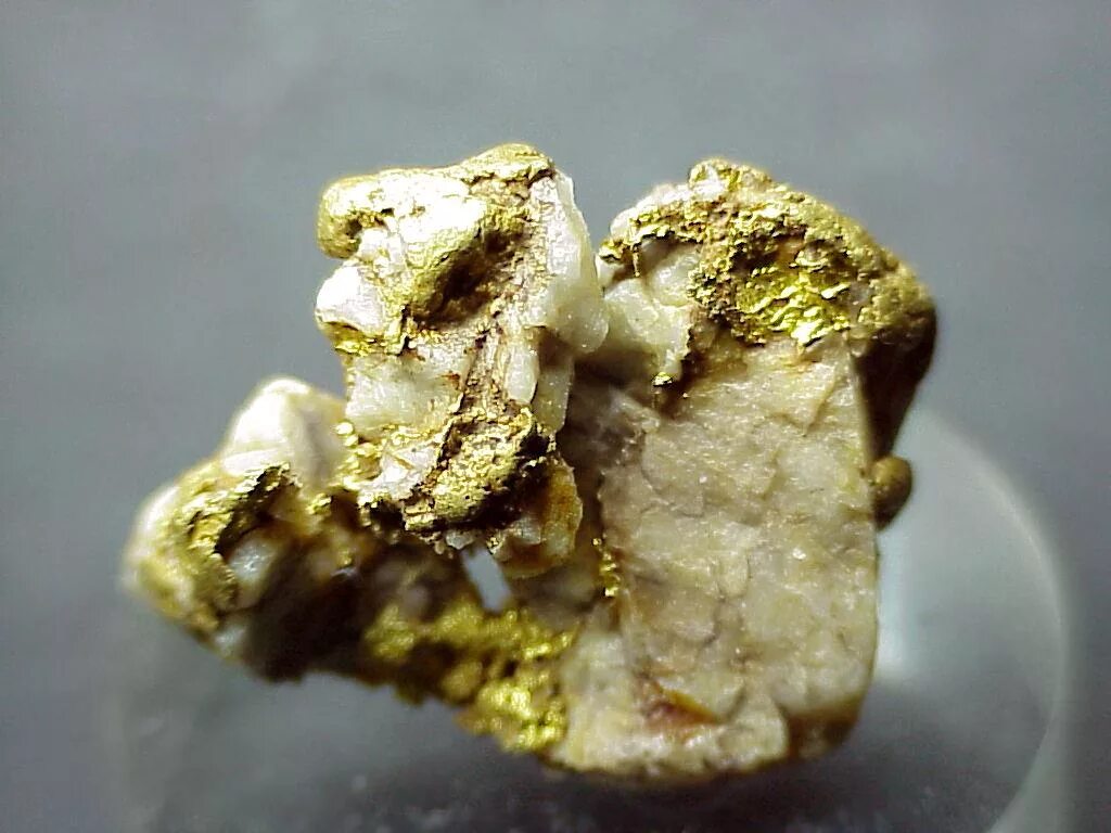Самородное золото минерал. Золото самородное в кварце. Самородная платина и золото в породе. Иридистое золото. В каких водах есть золото