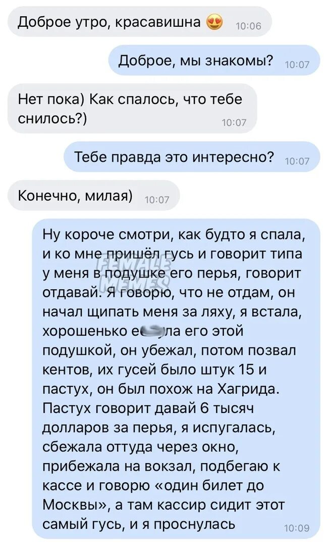 Как ответить на вопрос спишь. Анекдоты про сон. Сон про гуся прикол. Прикол про сон с гусем. Доброе утро переписка.