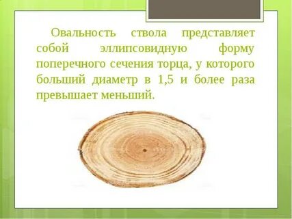 Пороки ствола